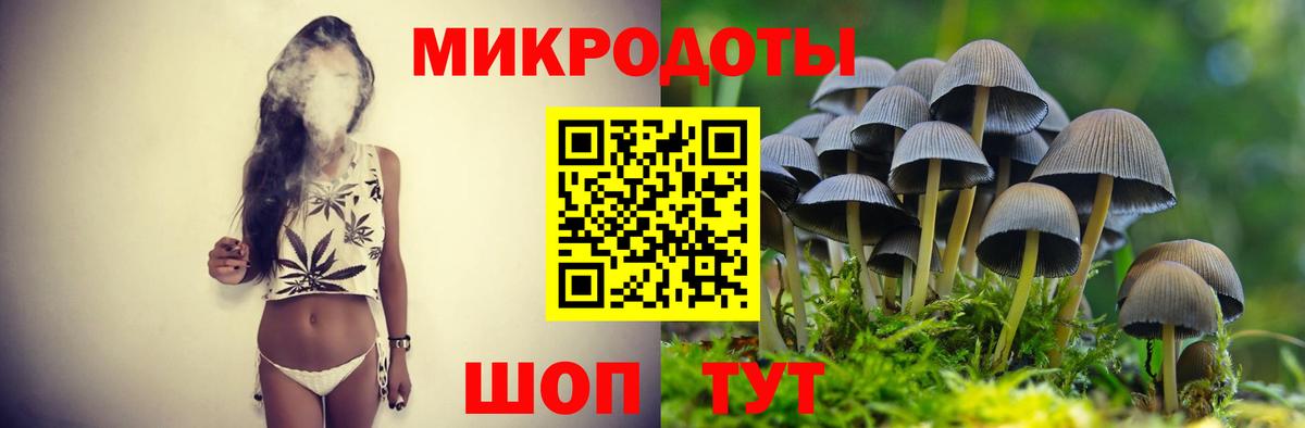 Псилоцибиновые грибы GOLDEN TEACHER Наро-Фоминск